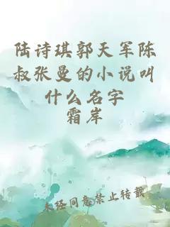 陸詩(shī)琪郭天軍陳叔張曼的小說(shuō)叫什么名字