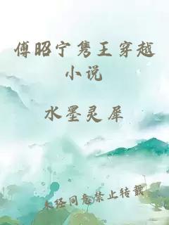 傅昭寧雋王穿越小說(shuō)
