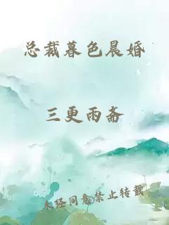 總裁暮色晨婚