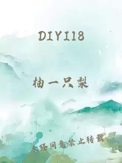 DIYI18