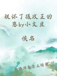朕懷了攝政王的崽by小文旦