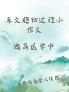 車(chē)文超細過(guò)程小作文