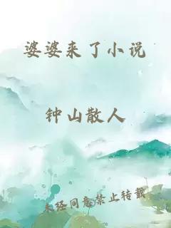 婆婆來(lái)了小說(shuō)