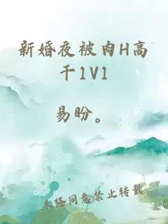 新婚夜被肉H高干1V1