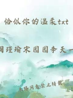 恰似你的溫柔txt