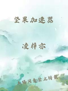 堅果加速器