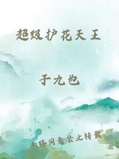 超級護花天王