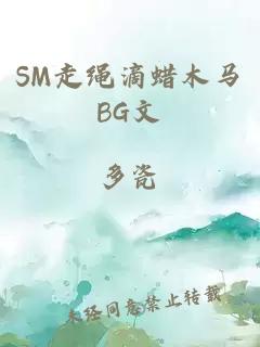 SM走繩滴蠟木馬BG文