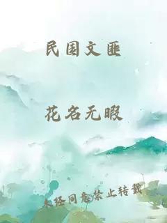 民國文匪