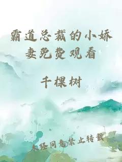 霸道總裁的小嬌妻免費觀(guān)看