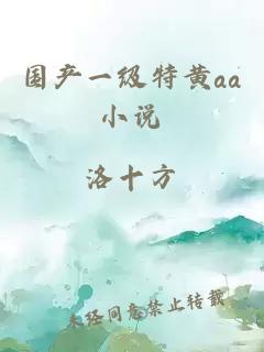 國產(chǎn)一級特黃aa小說(shuō)