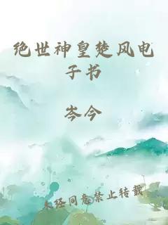 絕世神皇楚風(fēng)電子書(shū)