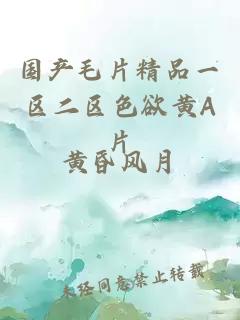 國產(chǎn)毛片精品一區二區色欲黃A片