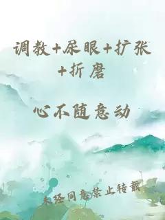 調教+尿眼+擴張+折磨