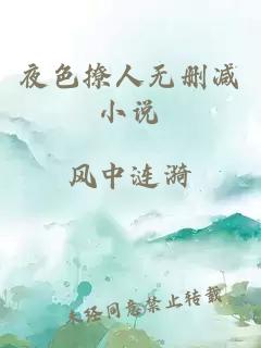 夜色撩人無(wú)刪減小說(shuō)