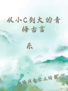 從小C到大的青梅古言