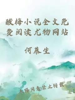 酸梅小說(shuō)全文免費閱讀尤物網(wǎng)站