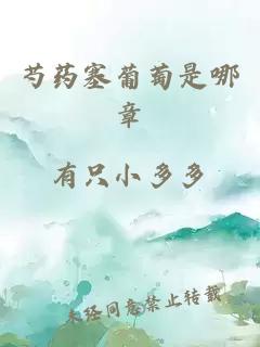 芍藥塞葡萄是哪章