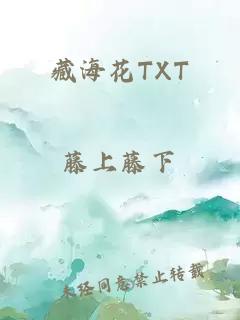 藏?；═XT