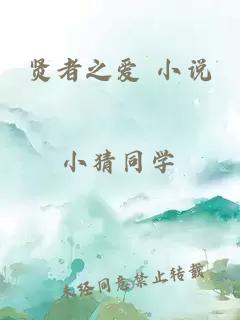 賢者之愛(ài) 小說(shuō)