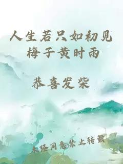 人生若只如初見(jiàn) 梅子黃時(shí)雨