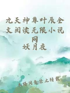 九天神尊葉辰全文閱讀無(wú)限小說(shuō)網(wǎng)