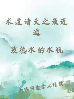 求道諸天之最逍遙