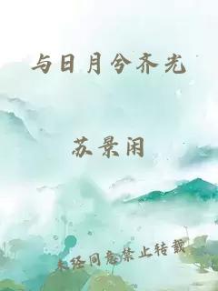 與日月兮齊光
