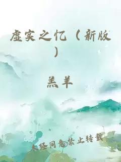 虛實(shí)之憶（新版）