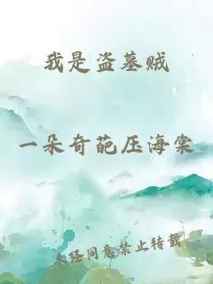 我是盜墓賊