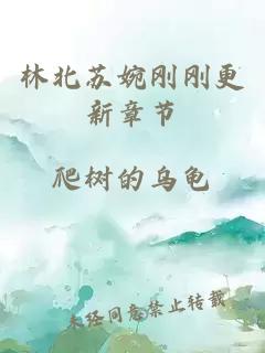 林北蘇婉剛剛更新章節