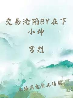 交易淪陷BY在下小神