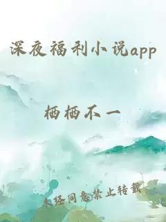 深夜福利小說(shuō)app
