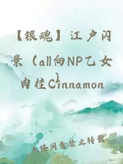 【銀魂】江戶(hù)閃景（all向NP乙女）