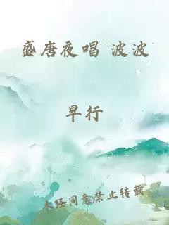盛唐夜唱 波波