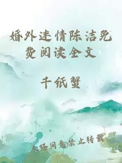 婚外迷情陳潔免費閱讀全文