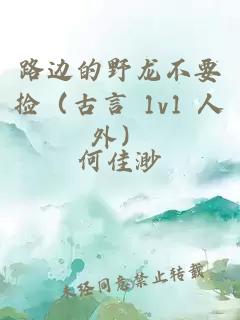 酒吧后巷的性事