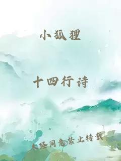 小狐貍