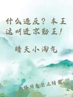 什么造反？本王這叫進(jìn)京勤王！