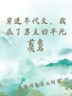 穿進(jìn)年代文，我成了男主的早死前妻