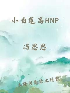 小白蓮高HNP