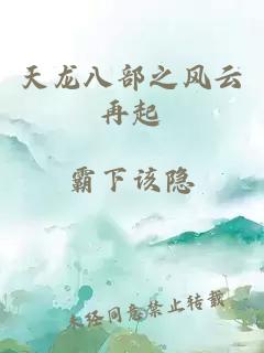 天龍八部之風(fēng)云再起