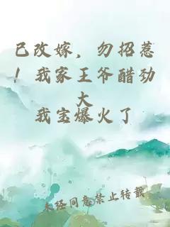 已改嫁，勿招惹！我家王爺醋勁大