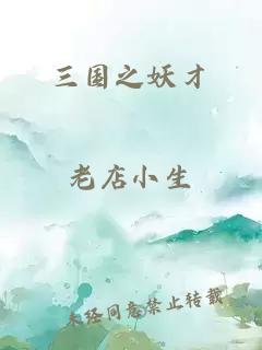 三國之妖才