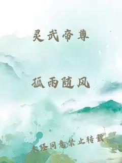 靈武帝尊