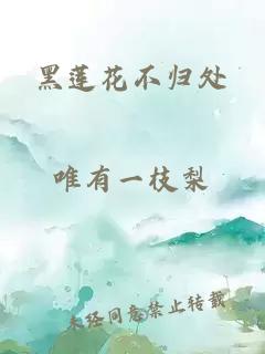 黑蓮花不歸處