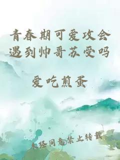 青春期可愛(ài)攻會(huì )遇到帥哥蘇受嗎