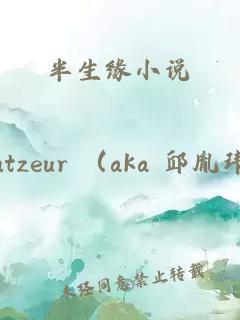 半生緣小說(shuō)