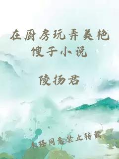 在廚房玩弄美艷餿子小說(shuō)