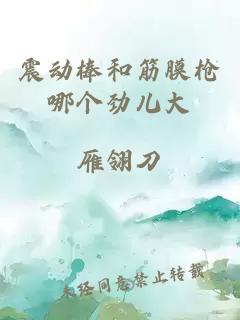 震動(dòng)棒和筋膜槍哪個(gè)勁兒大